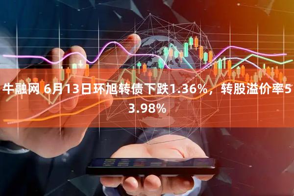 牛融网 6月13日环旭转债下跌1.36%，转股溢价率53.98%