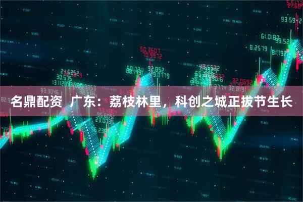 名鼎配资  广东：荔枝林里，科创之城正拔节生长