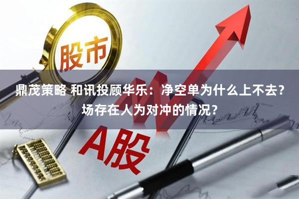 鼎茂策略 和讯投顾华乐：净空单为什么上不去？场存在人为对冲的情况？