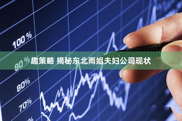 趣策略 揭秘东北雨姐夫妇公司现状