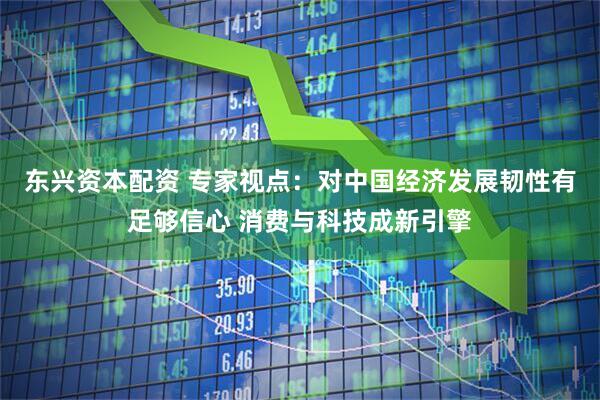 东兴资本配资 专家视点：对中国经济发展韧性有足够信心 消费与科技成新引擎